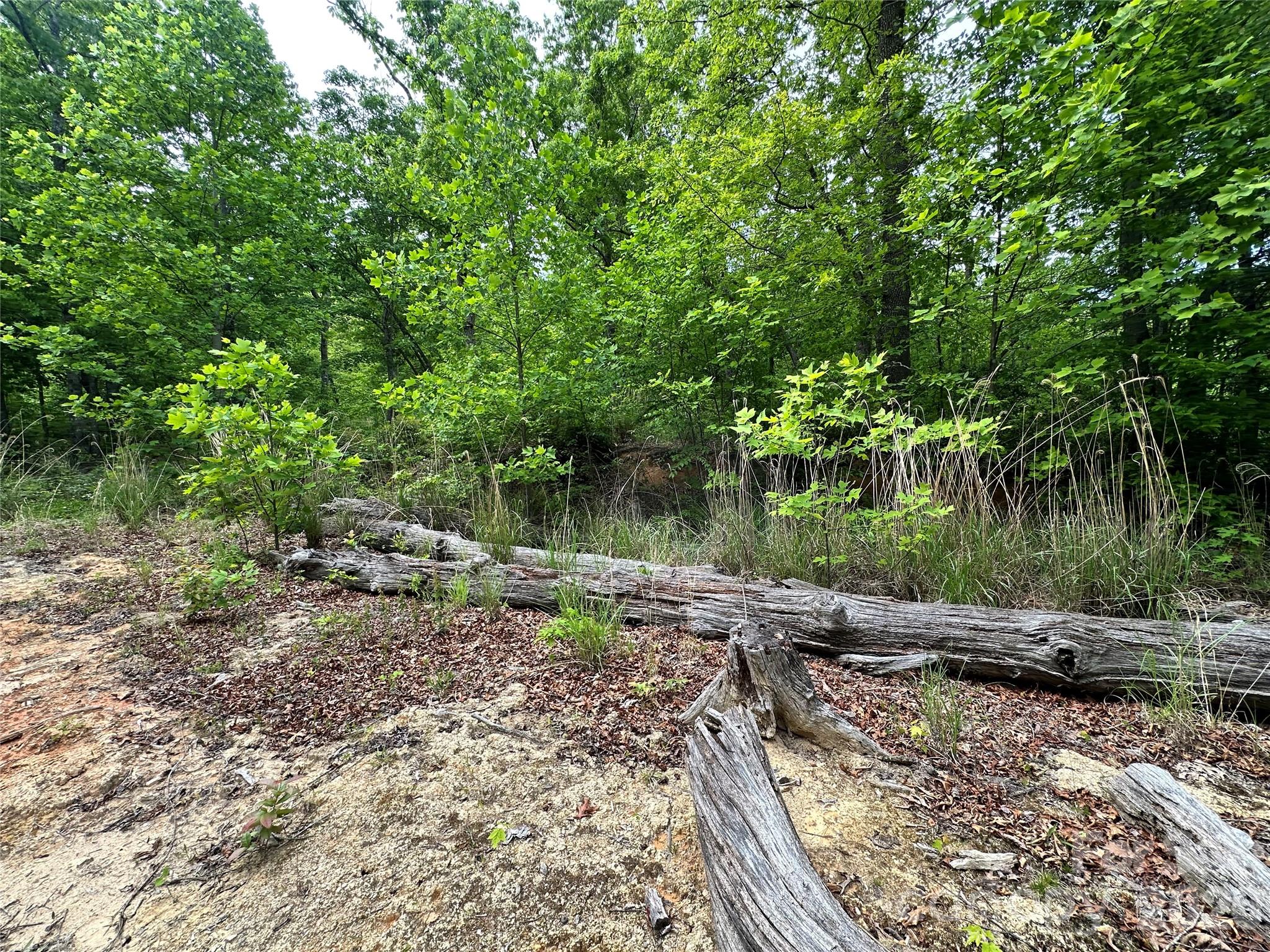Bird Creek Estates - Land