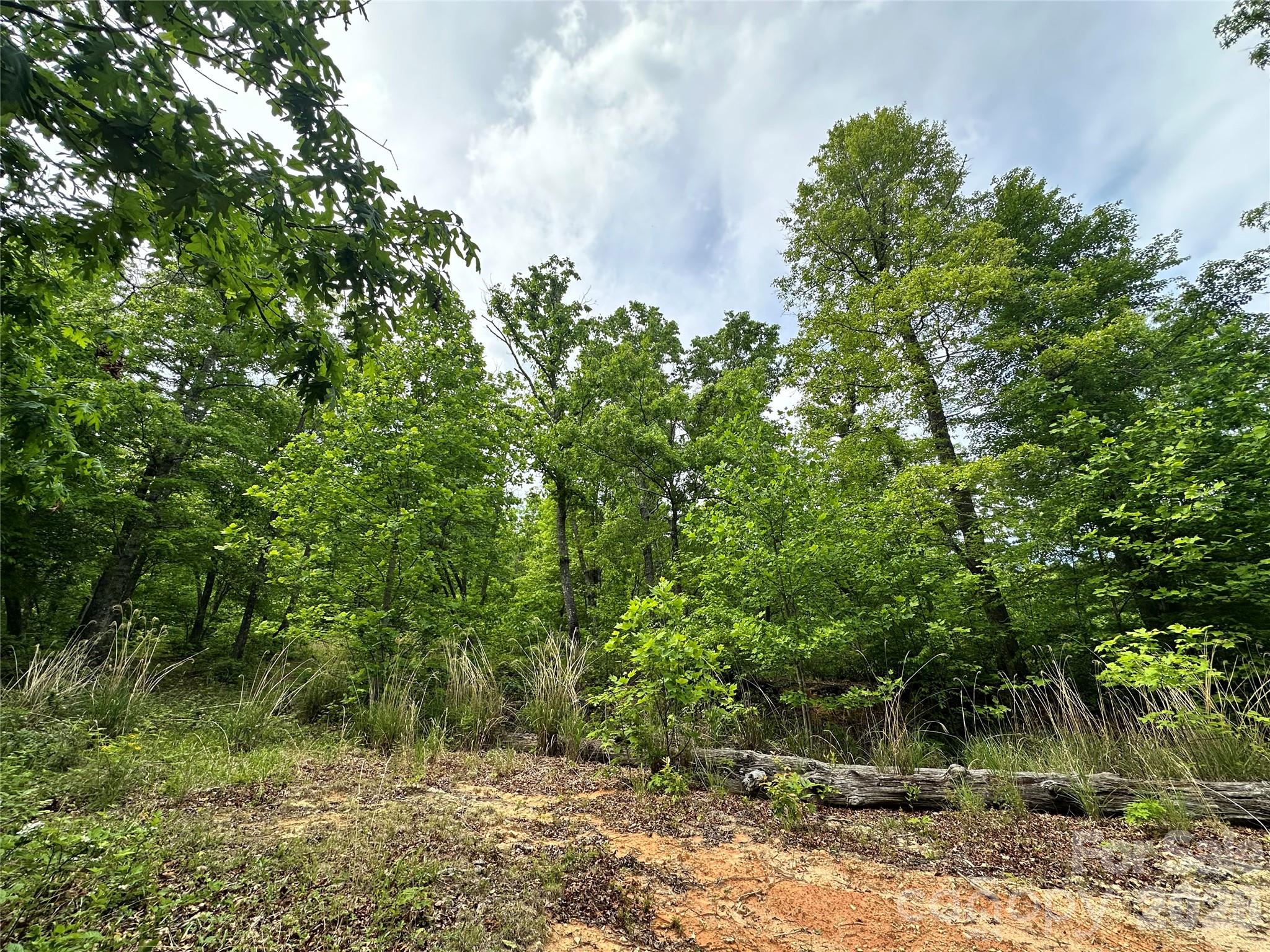 Bird Creek Estates - Land