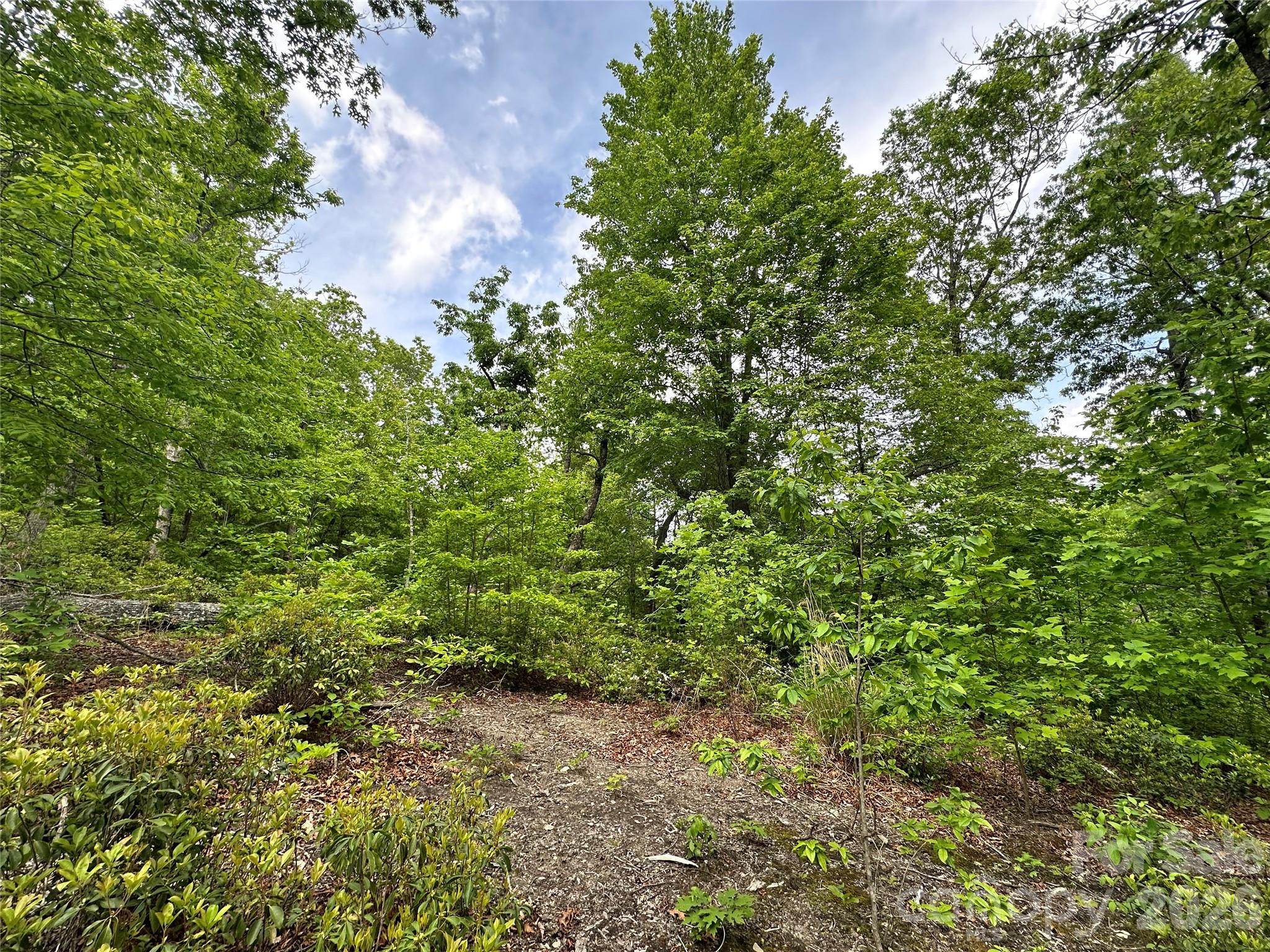 Bird Creek Estates - Land