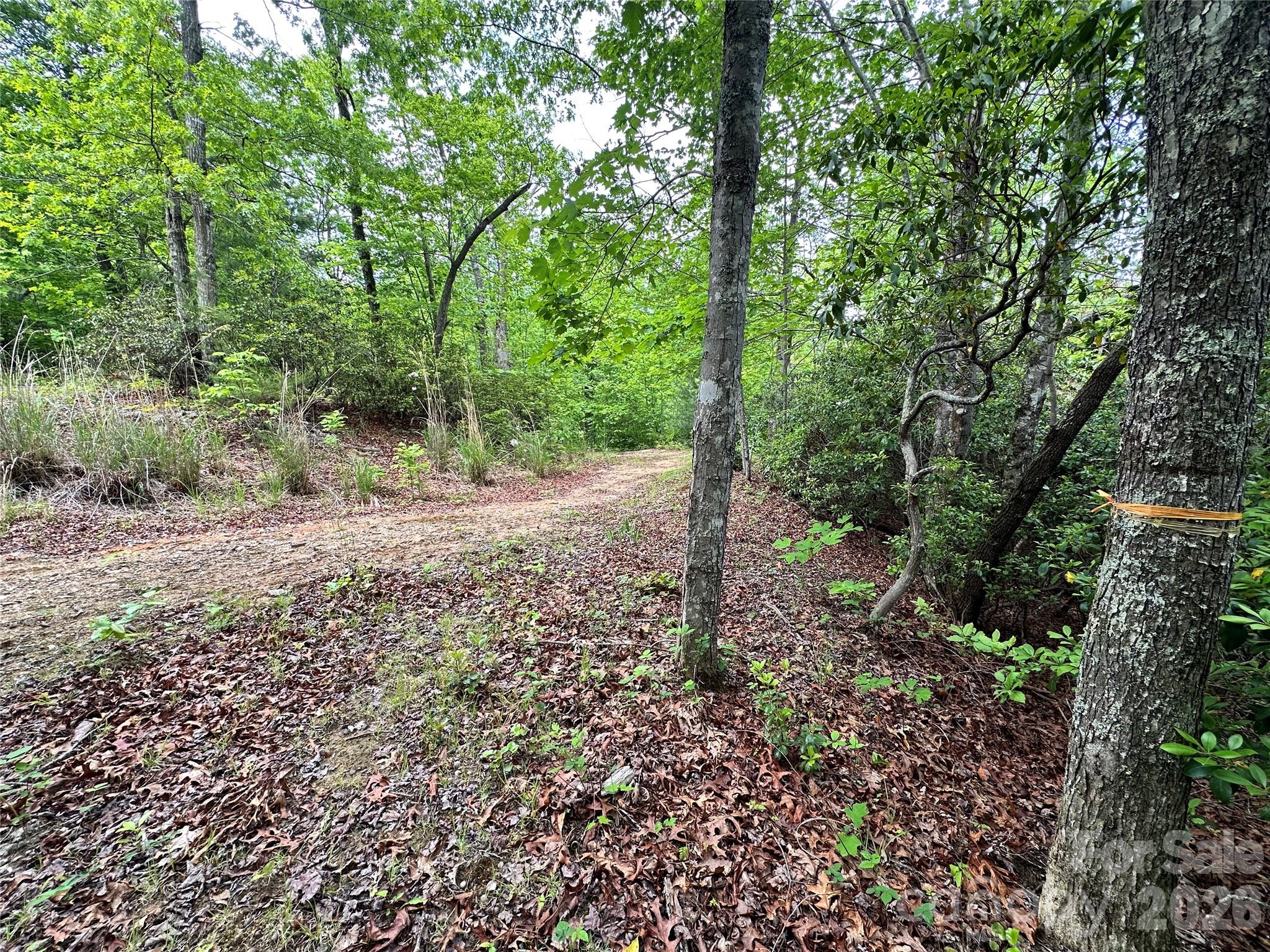 Bird Creek Estates - Land