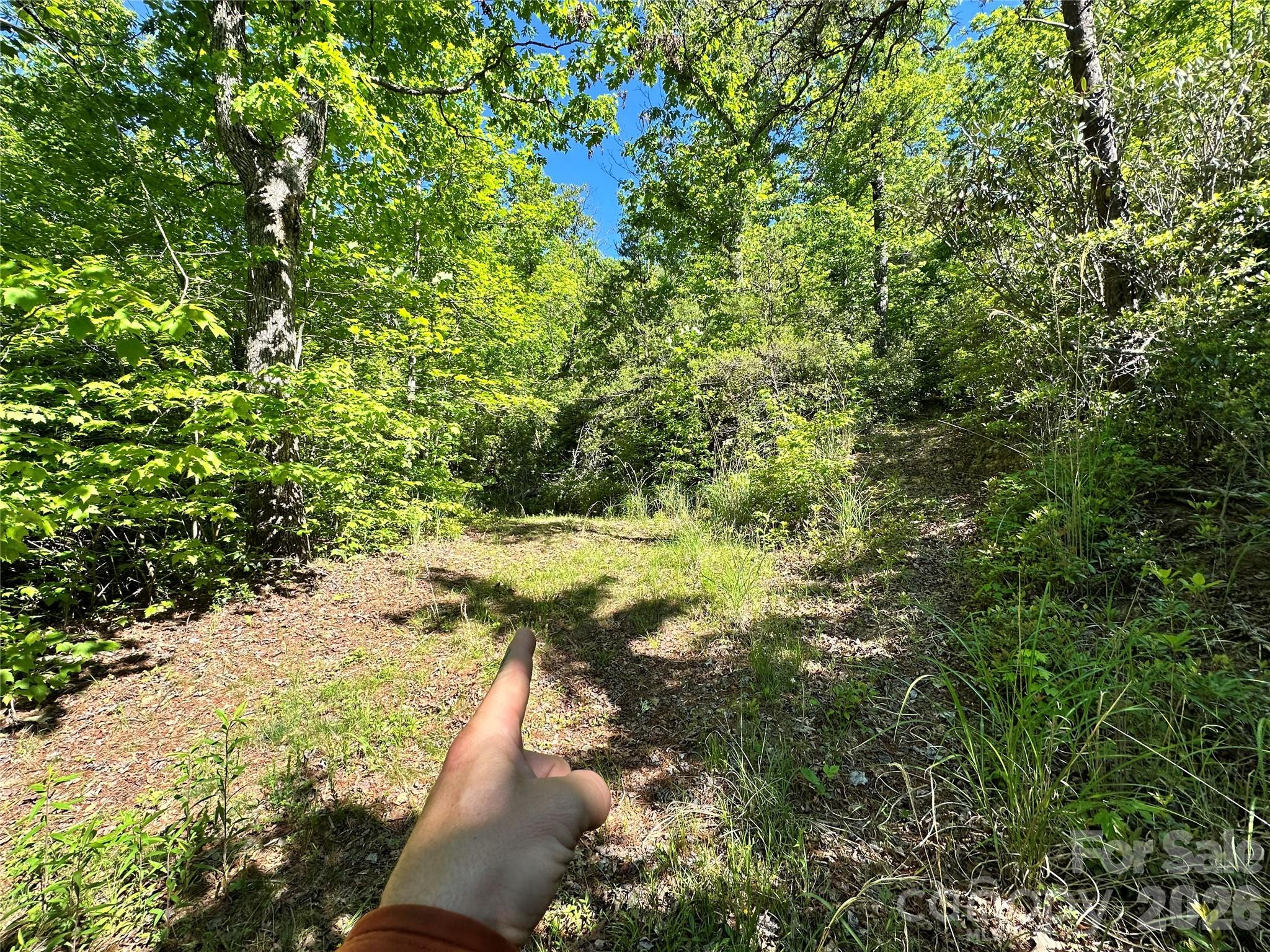 Bird Creek Estates - Land
