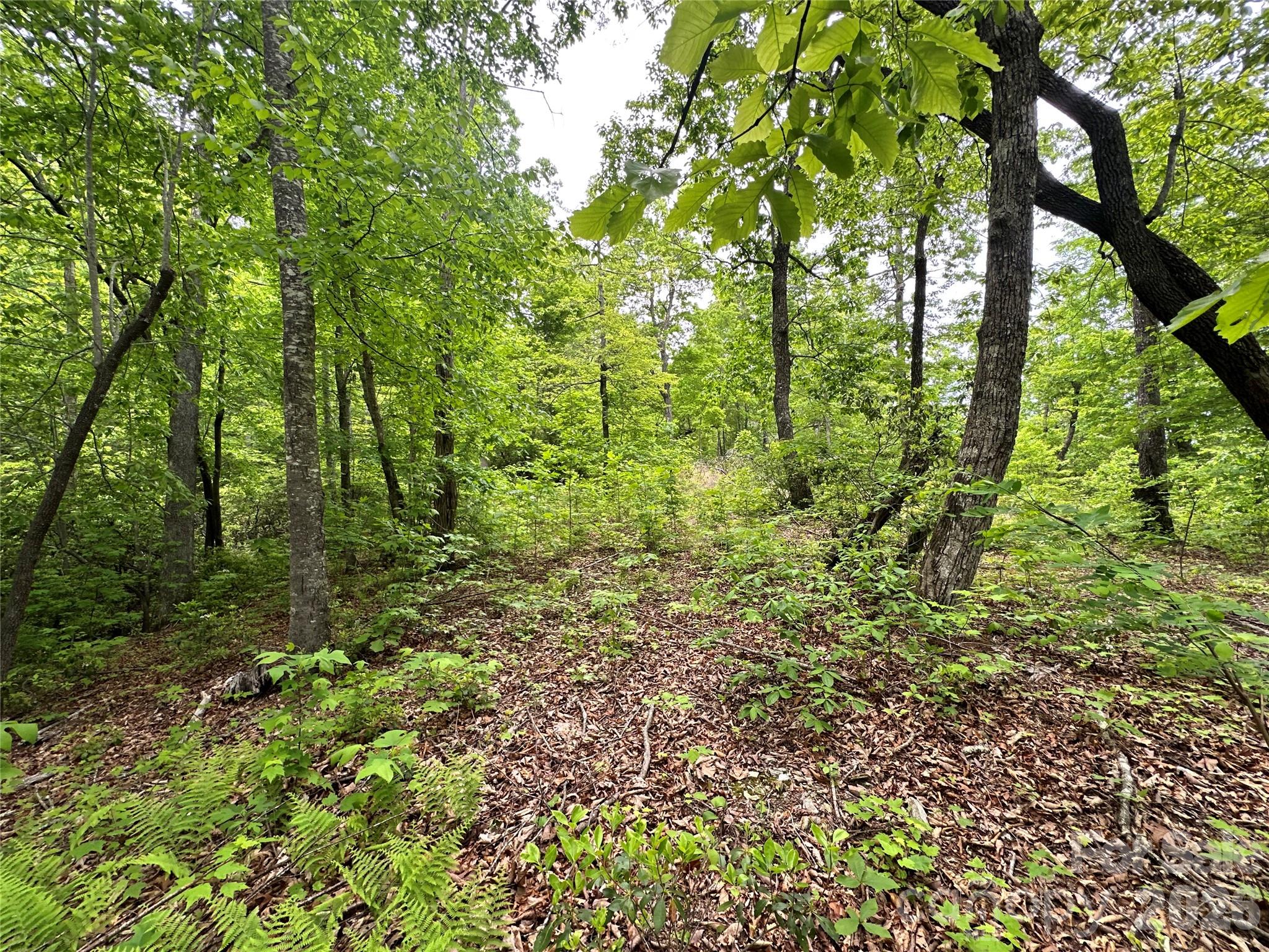 Bird Creek Estates - Land
