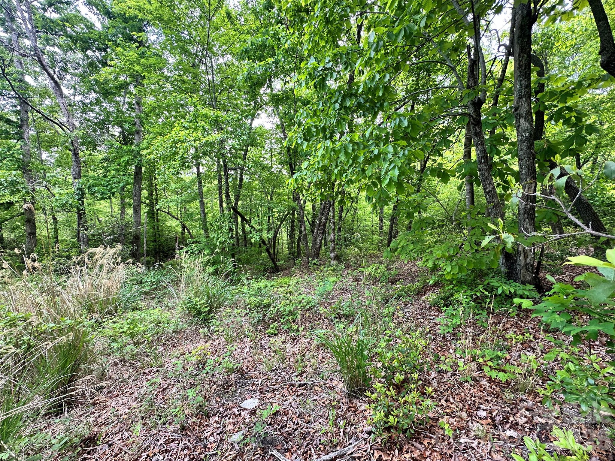 Bird Creek Estates - Land