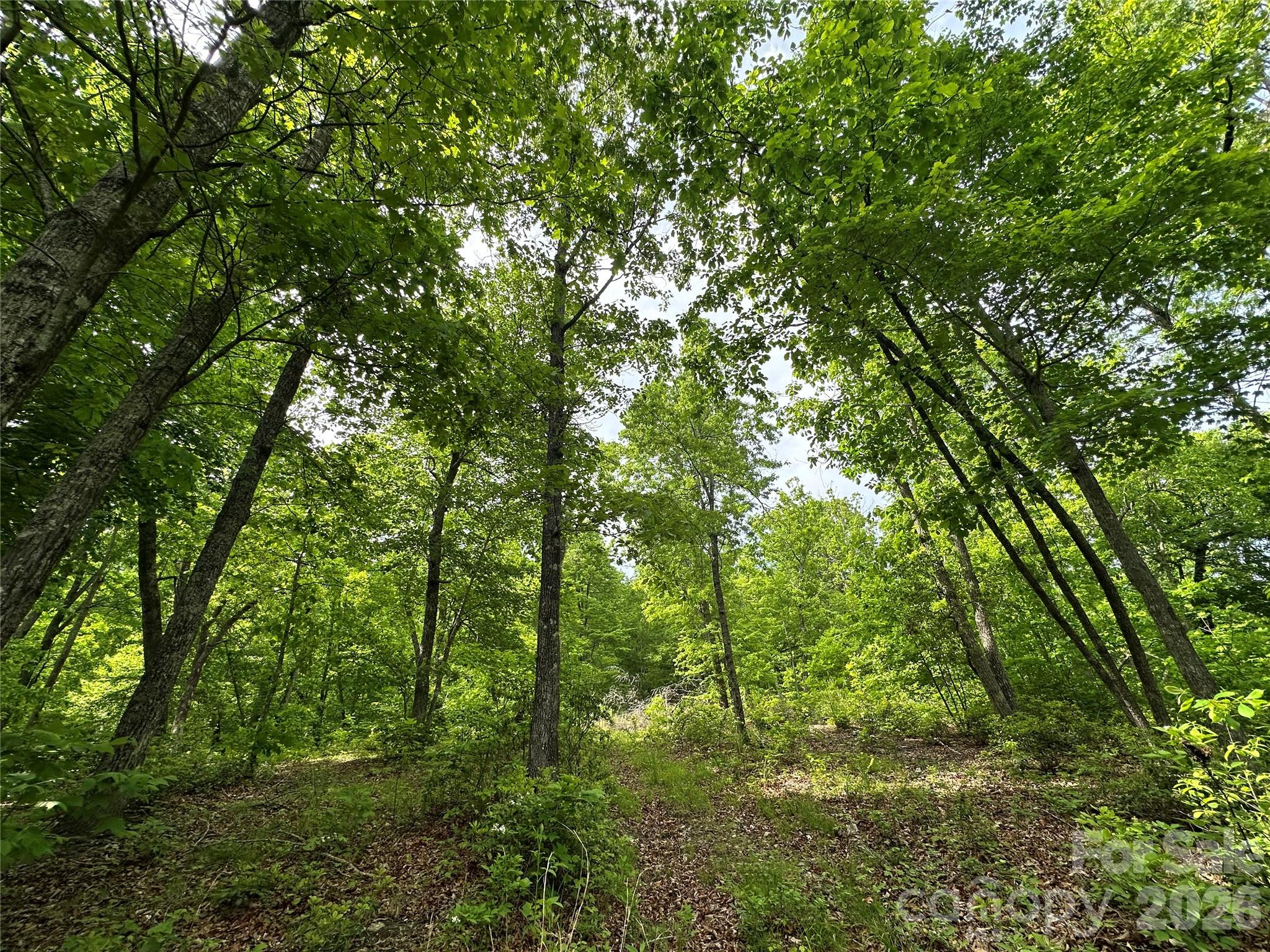 Bird Creek Estates - Land