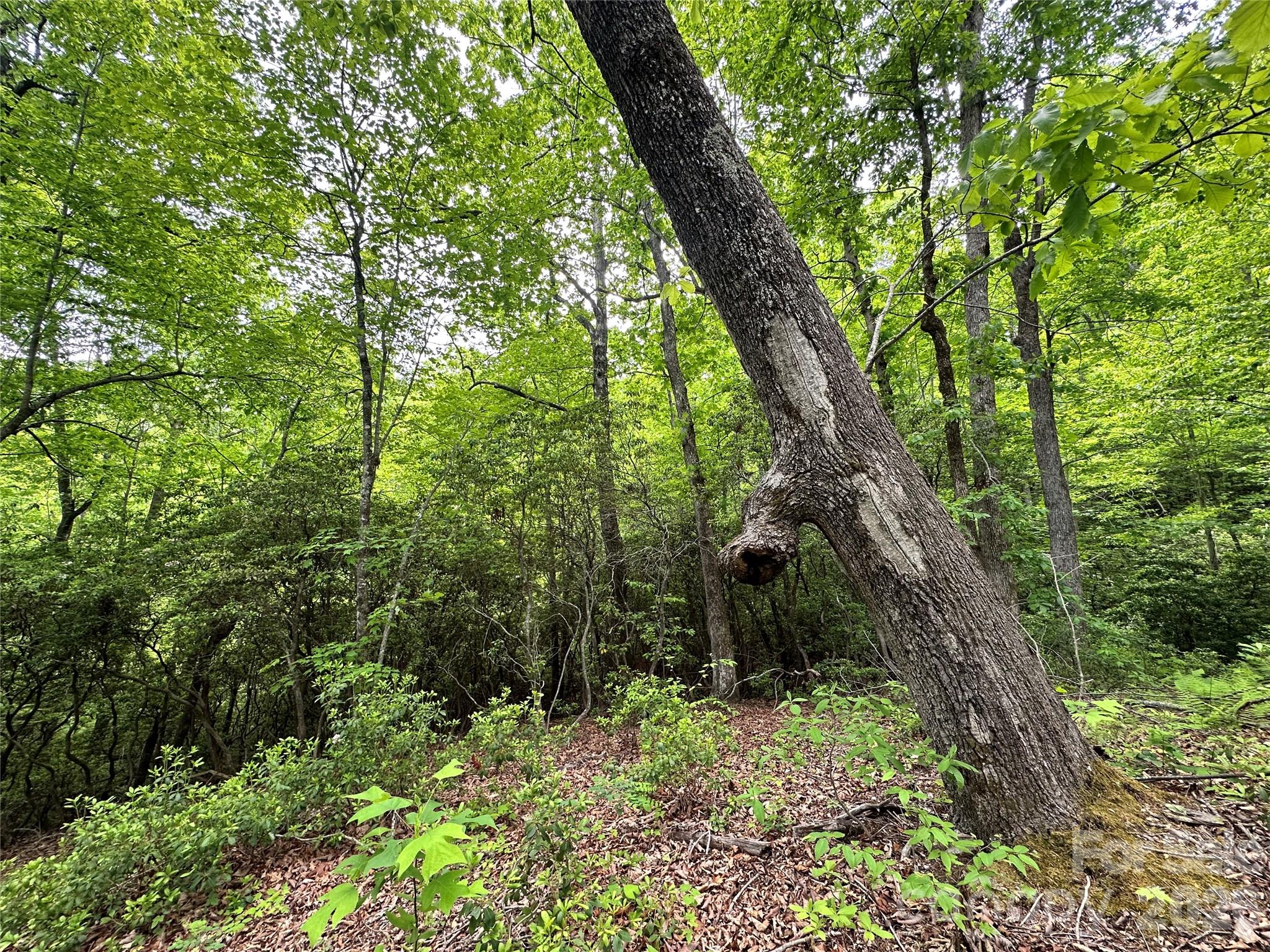 Bird Creek Estates - Land