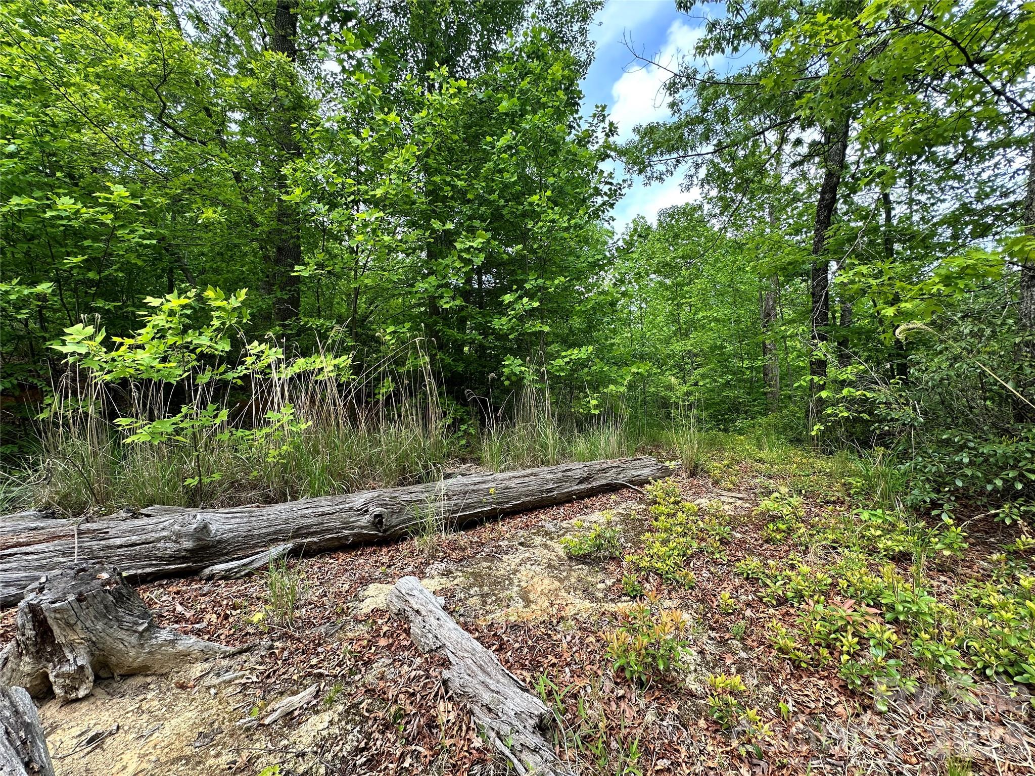 Bird Creek Estates - Land
