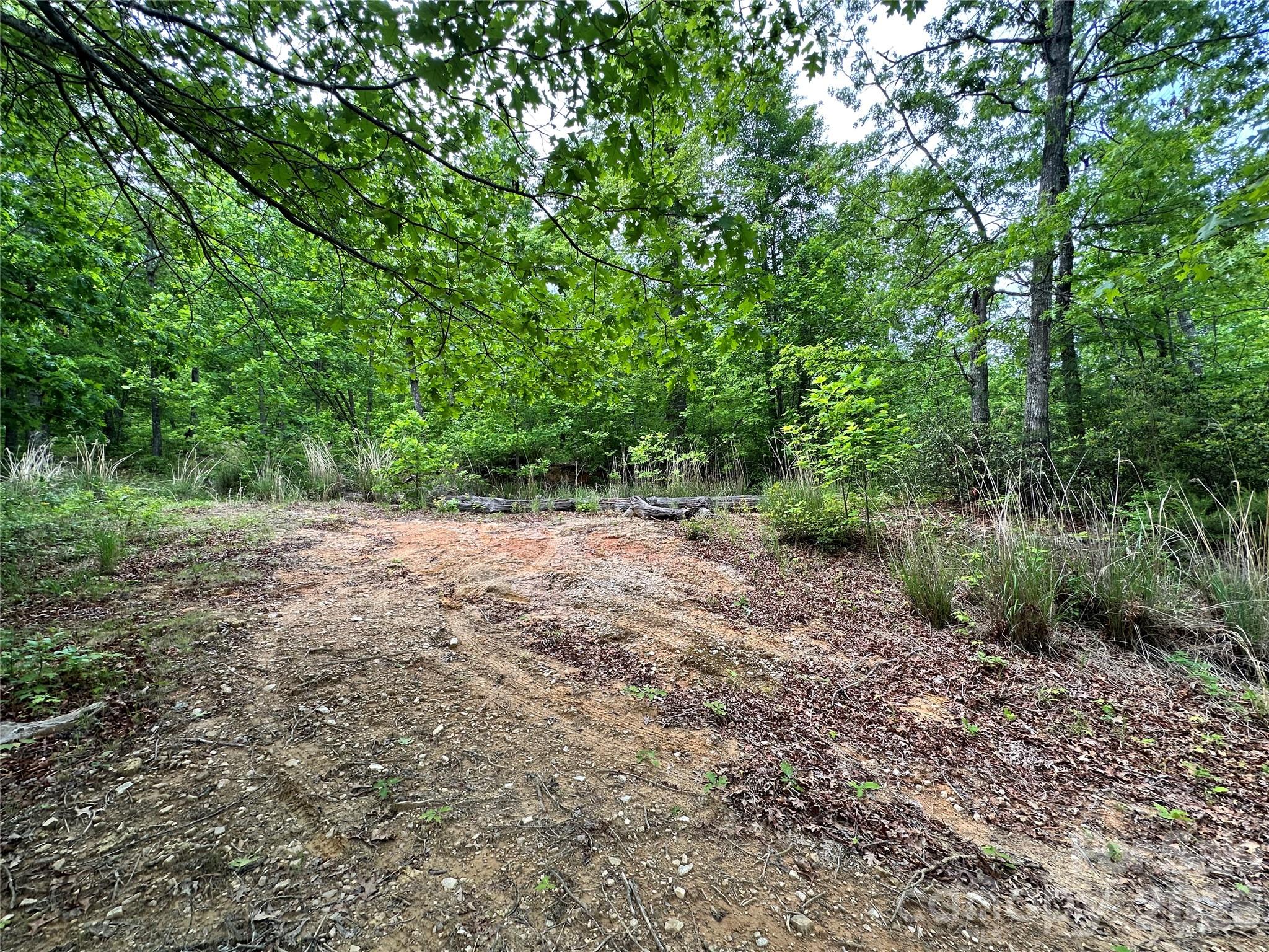 99999 Bird Creek Estates Road