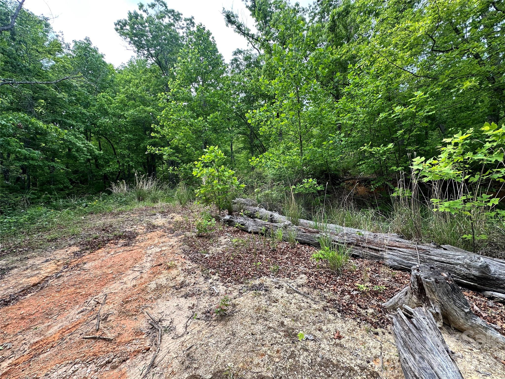 Bird Creek Estates - Land