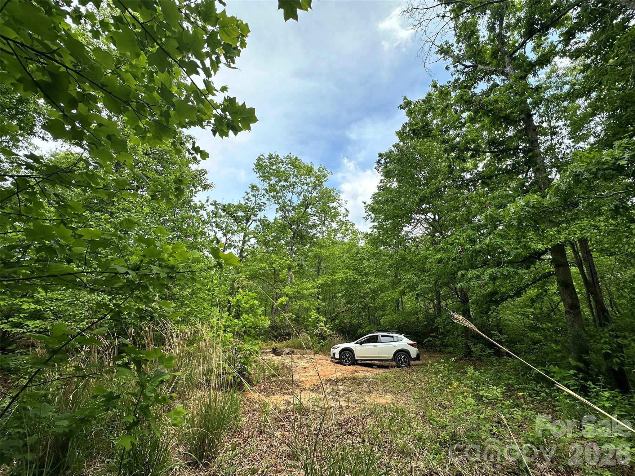 Bird Creek Estates - Land