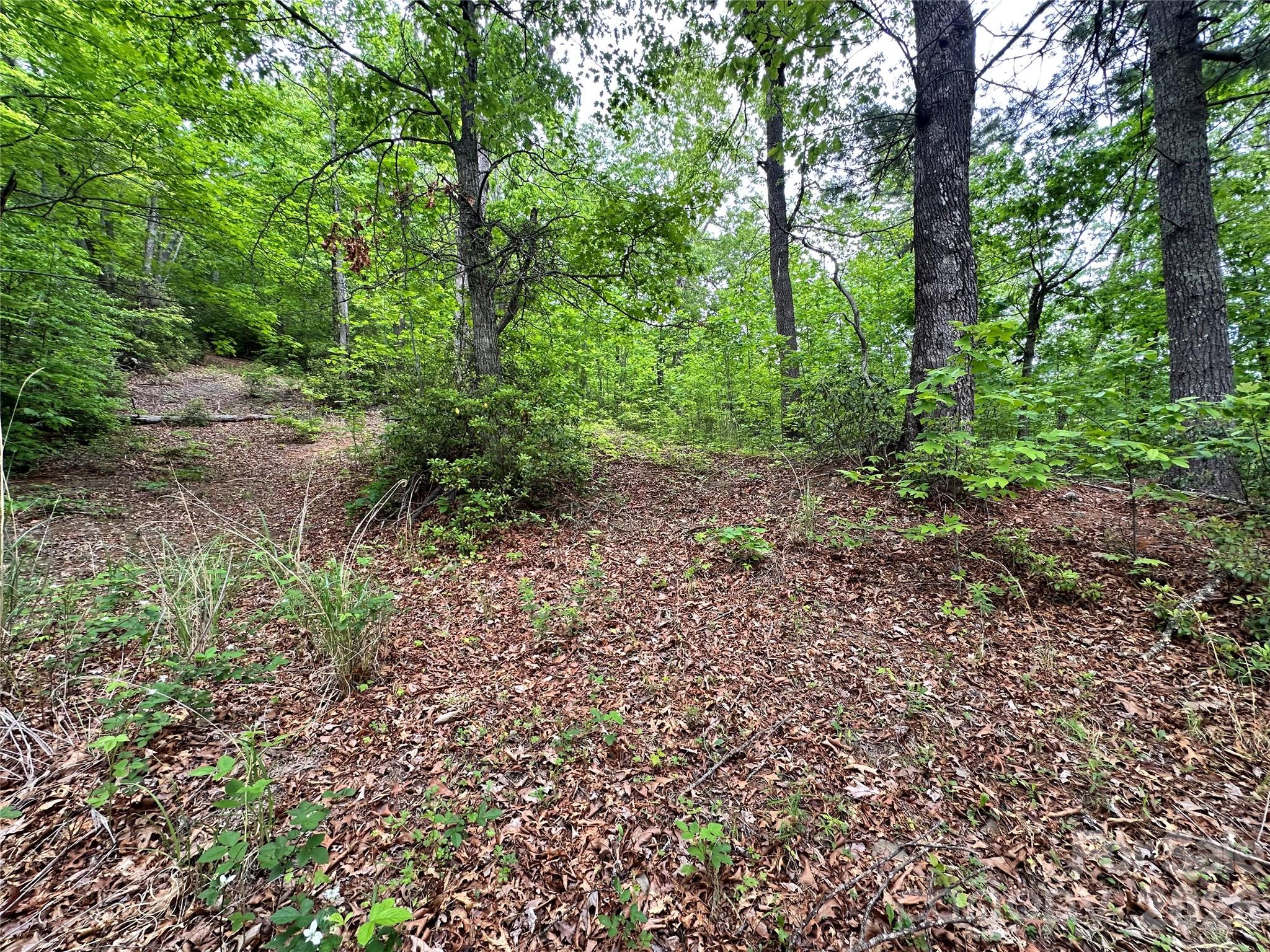 Bird Creek Estates - Land