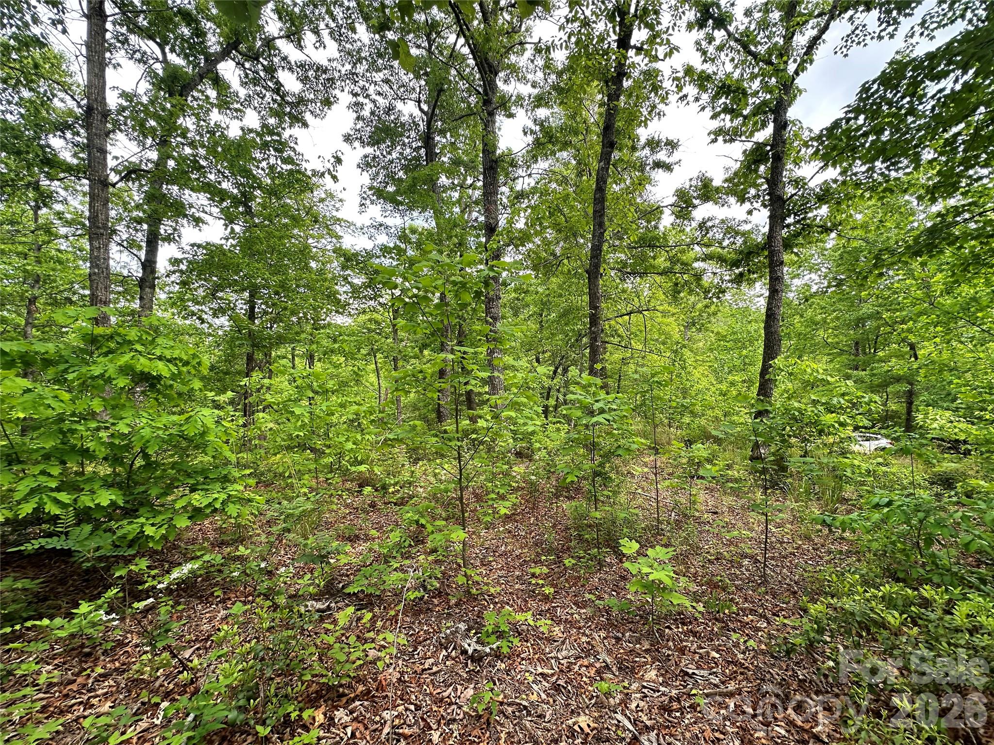 Bird Creek Estates - Land