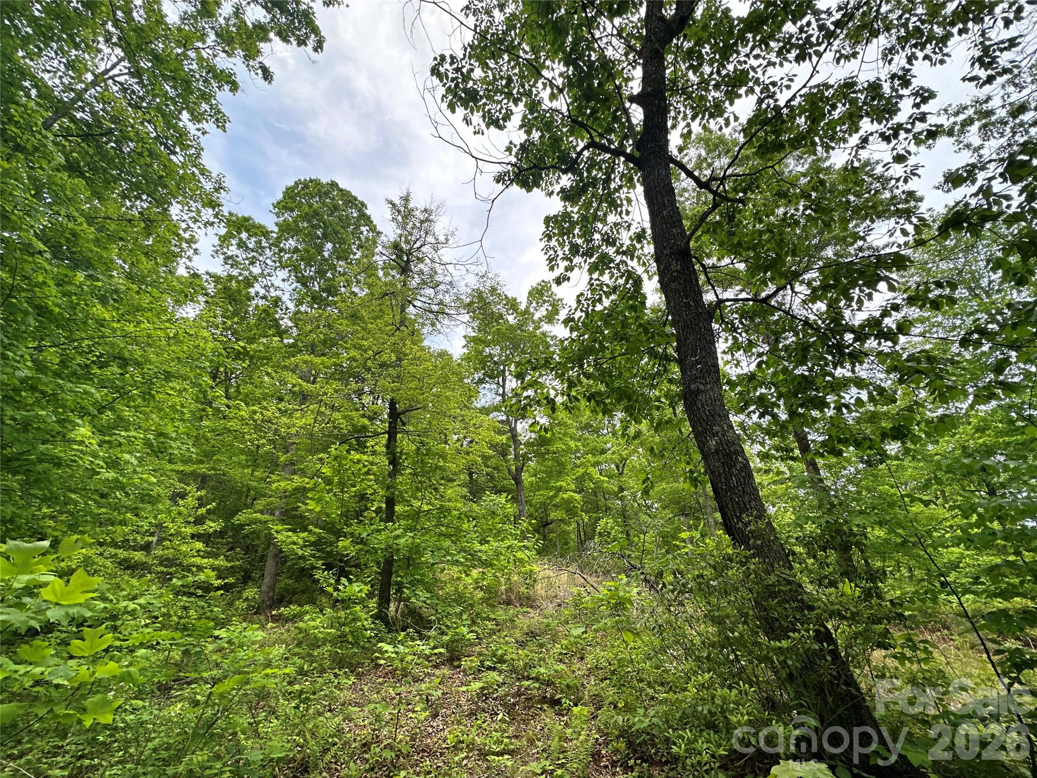 Bird Creek Estates - Land