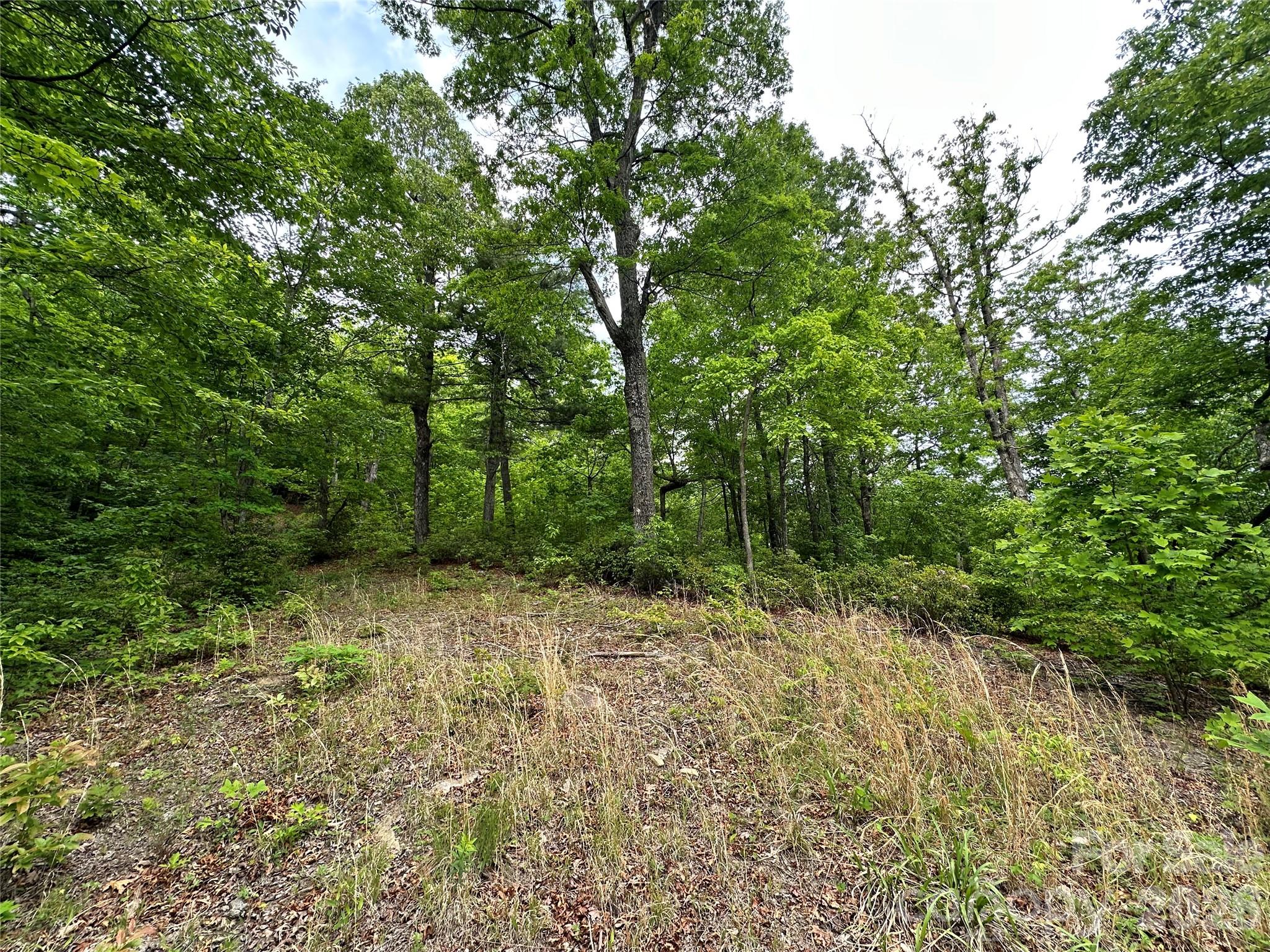 Bird Creek Estates - Land