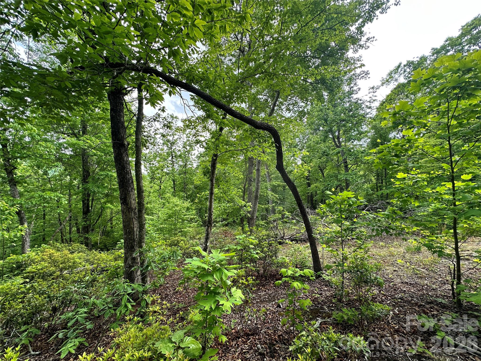 99999 Bird Creek Estates Road