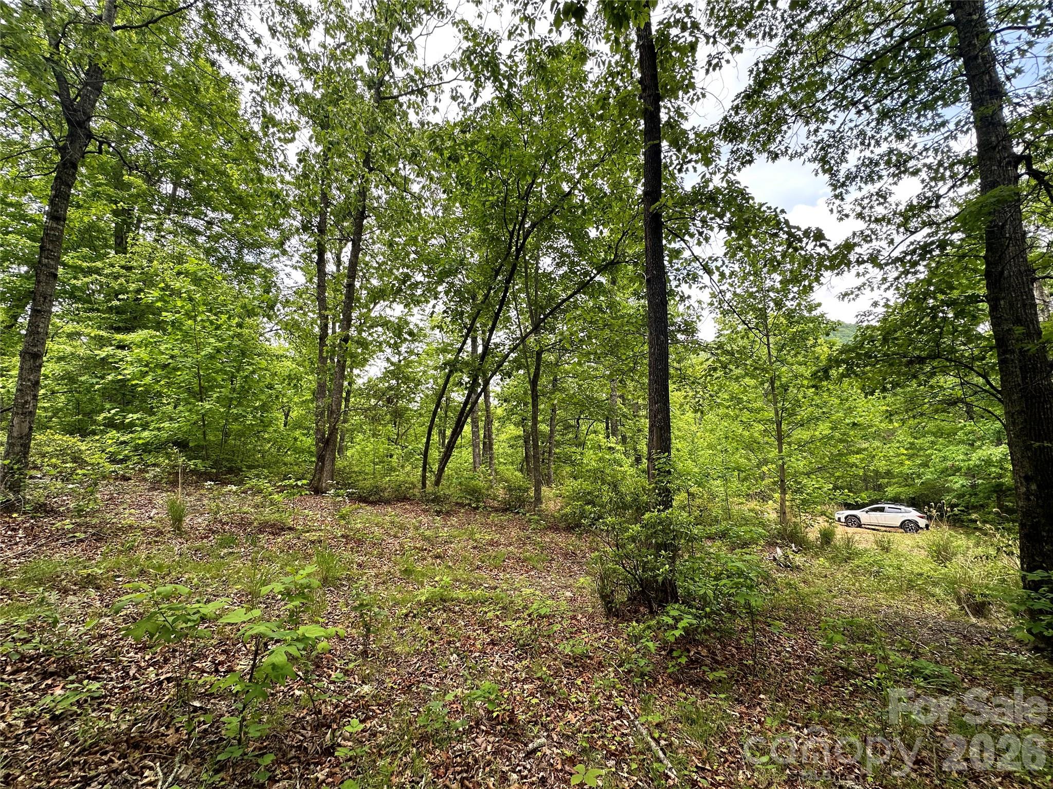 Bird Creek Estates - Land