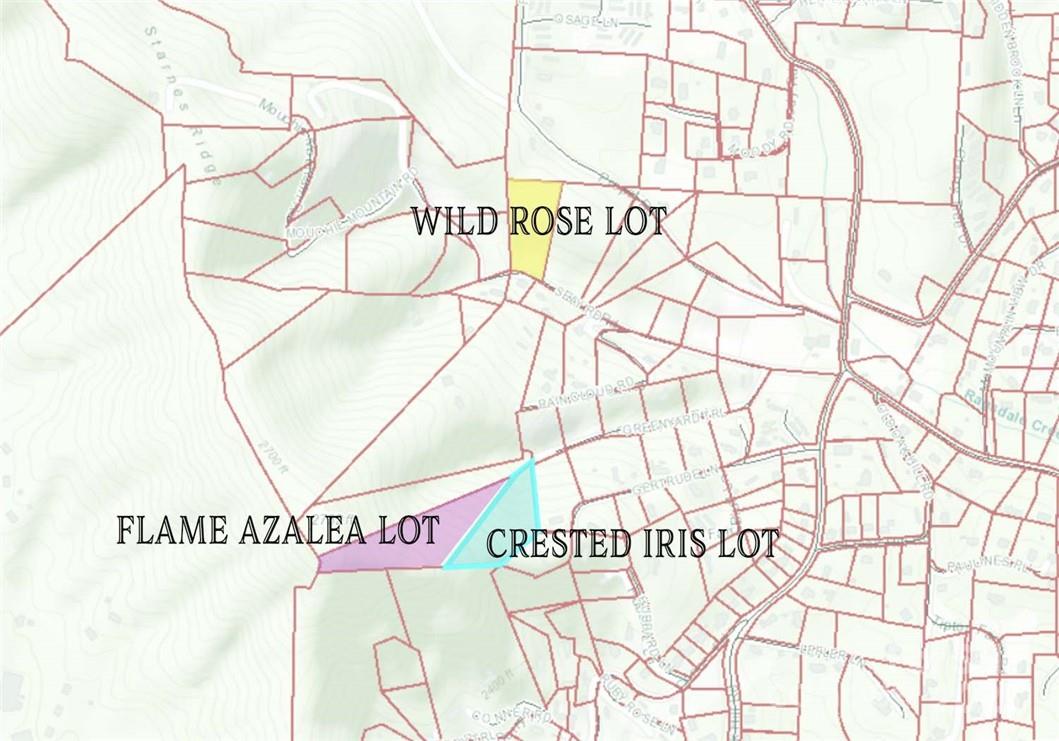 TBD Greenyard Trail 7