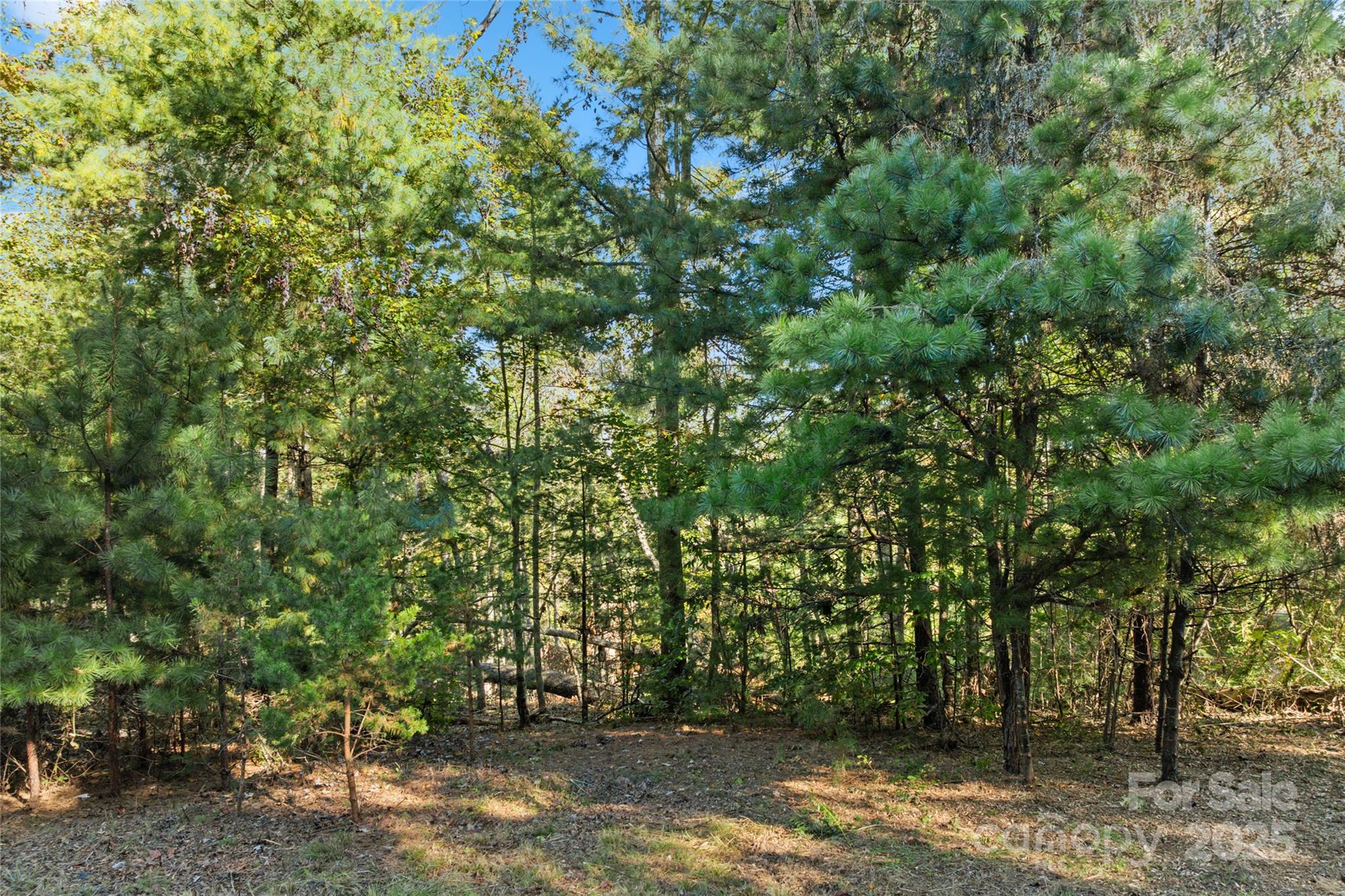 0 Cedar Hill Drive 24