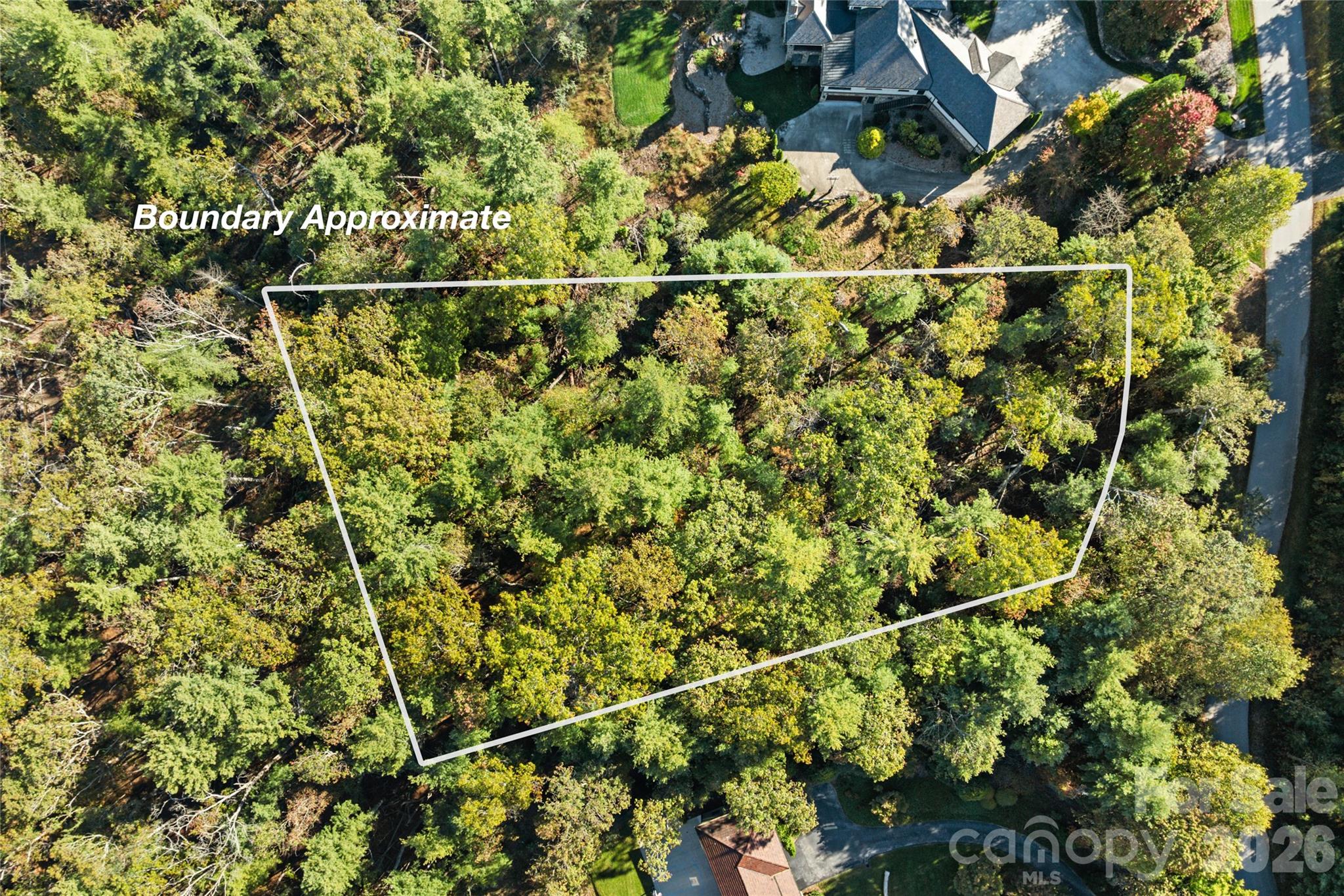 Biltmore Forest - Land