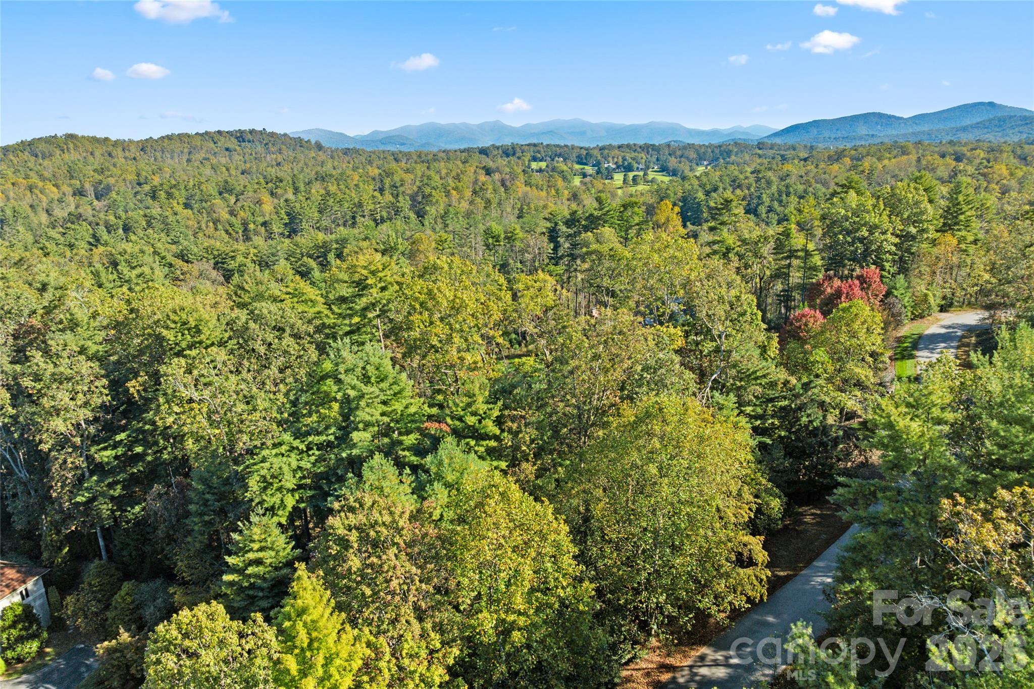 Biltmore Forest - Land
