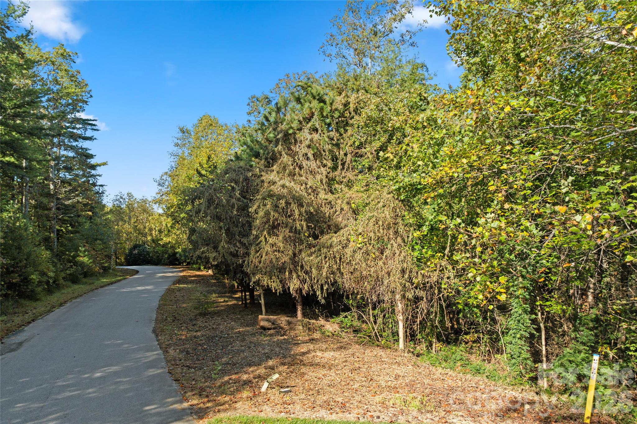 Biltmore Forest - Land