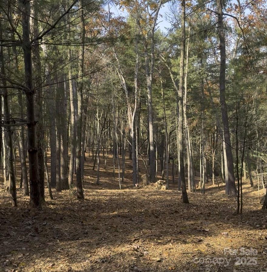 An extraordinary opportunity awaits you to build your custom estate on this premier 2.03-acre parcel of land on Cedar Hill Drive in the exclusive community of Biltmore Forest. The property is wooded and was recently cleared of debris, ensuring complete privacy and a tranquil, natural setting, while being fully buildable for a luxurious residence. This exceptional location provides the ideal balance of peaceful mountain seclusion and sophisticated city living. You'll be just moments from the private amenities of the Biltmore Forest Country Club and a short, easy drive to the vibrant dining, arts, and shopping scene of downtown Asheville. Quick access directly from the neighborhood to the Blue Ridge Parkway allows for endless mountain adventures and exploration. Secure this significant and secluded parcel today to design the sanctuary you've always envisioned.