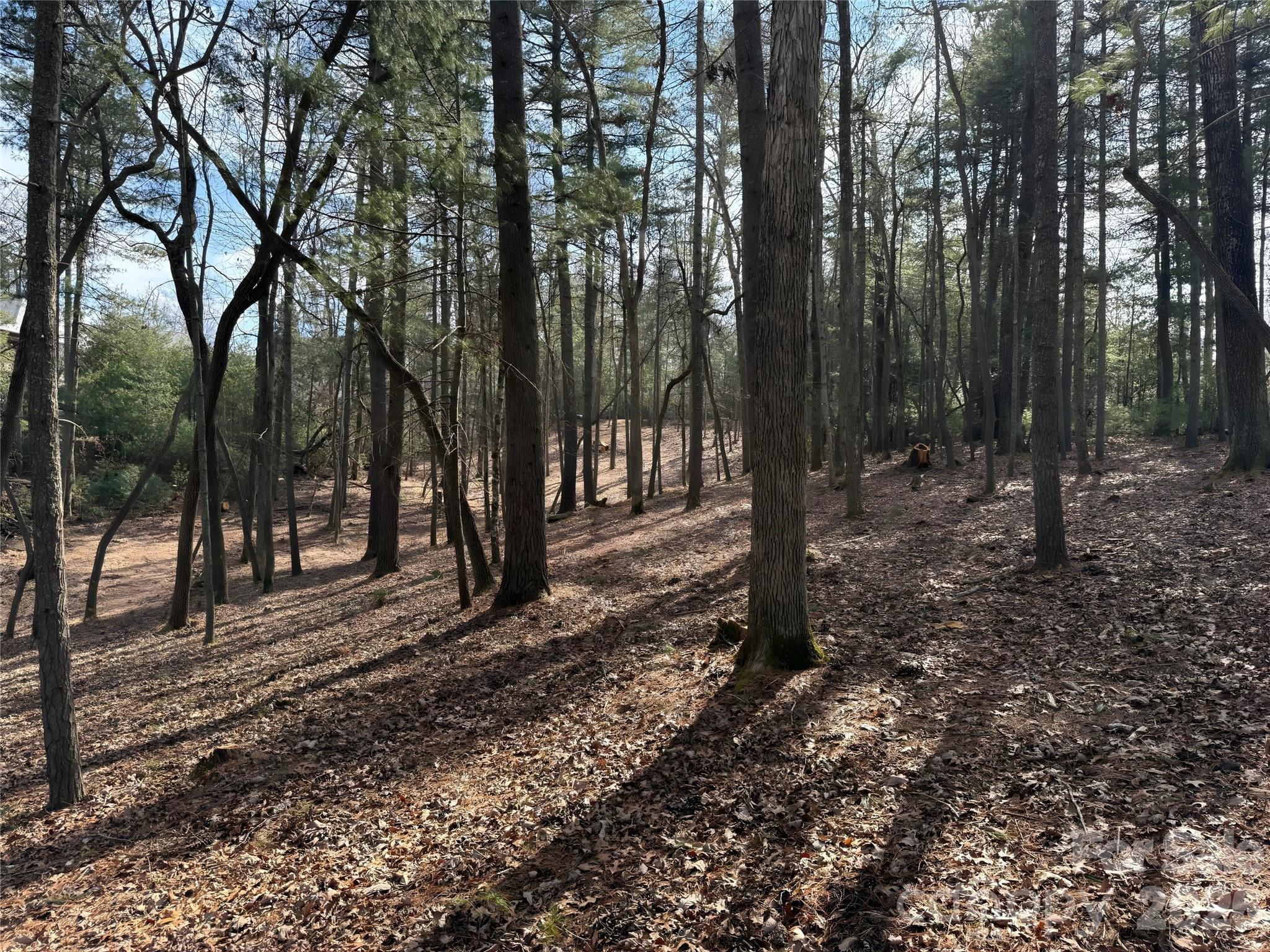 Biltmore Forest - Land