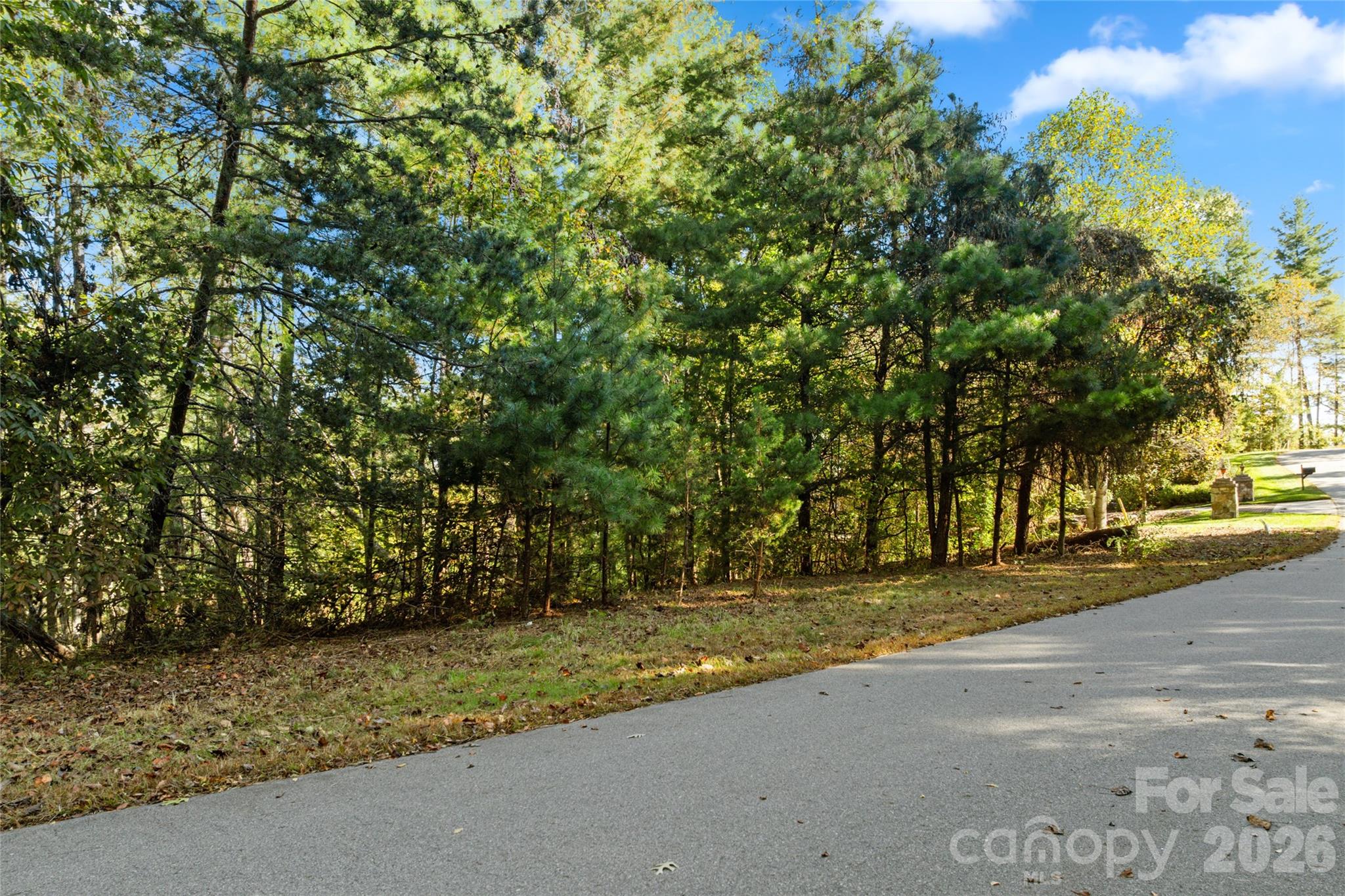 Biltmore Forest - Land