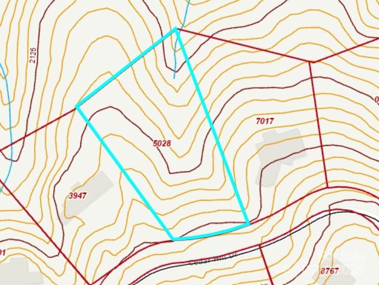 Biltmore Forest - Land