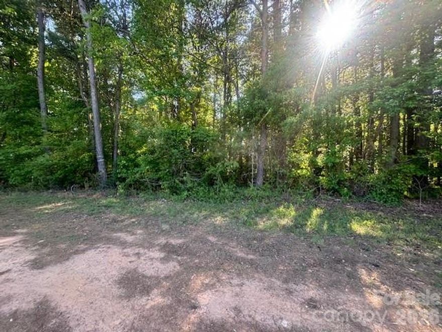 Great opportunity to Build your DREAM home in the established Pages Pond subdivision and bring your own builder. Walk/bike to Davidson via greenway access on the street. Minutes to Historic Downtown Davidson with its boutiques, restaurants, farmers market and Davidson College. Convenient to River Run Country Club, Lake Norman, Uptown Charlotte and Charlotte-Douglas International Airport. Architectural Approval required to build and must meet minimum square footage requirements.