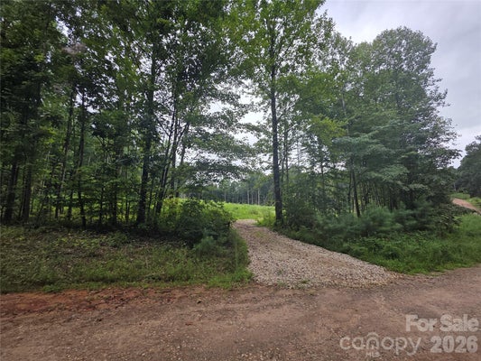 274 DEERCHASE CIR, STATESVILLE, NC 28625 - Image 3c82c4e6b7ecb0b7e4c2612fb2c509dd/1789030363
