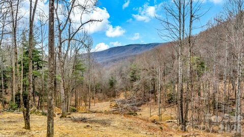 TBD Phillips Gap Road Purlear NC 28665