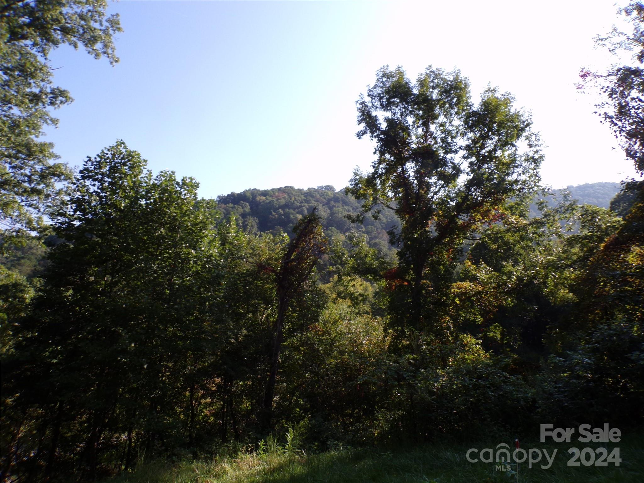 4 Mayapple Lane