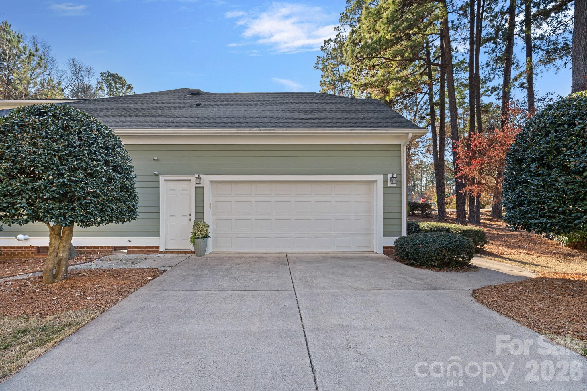 Island Forest - Residential