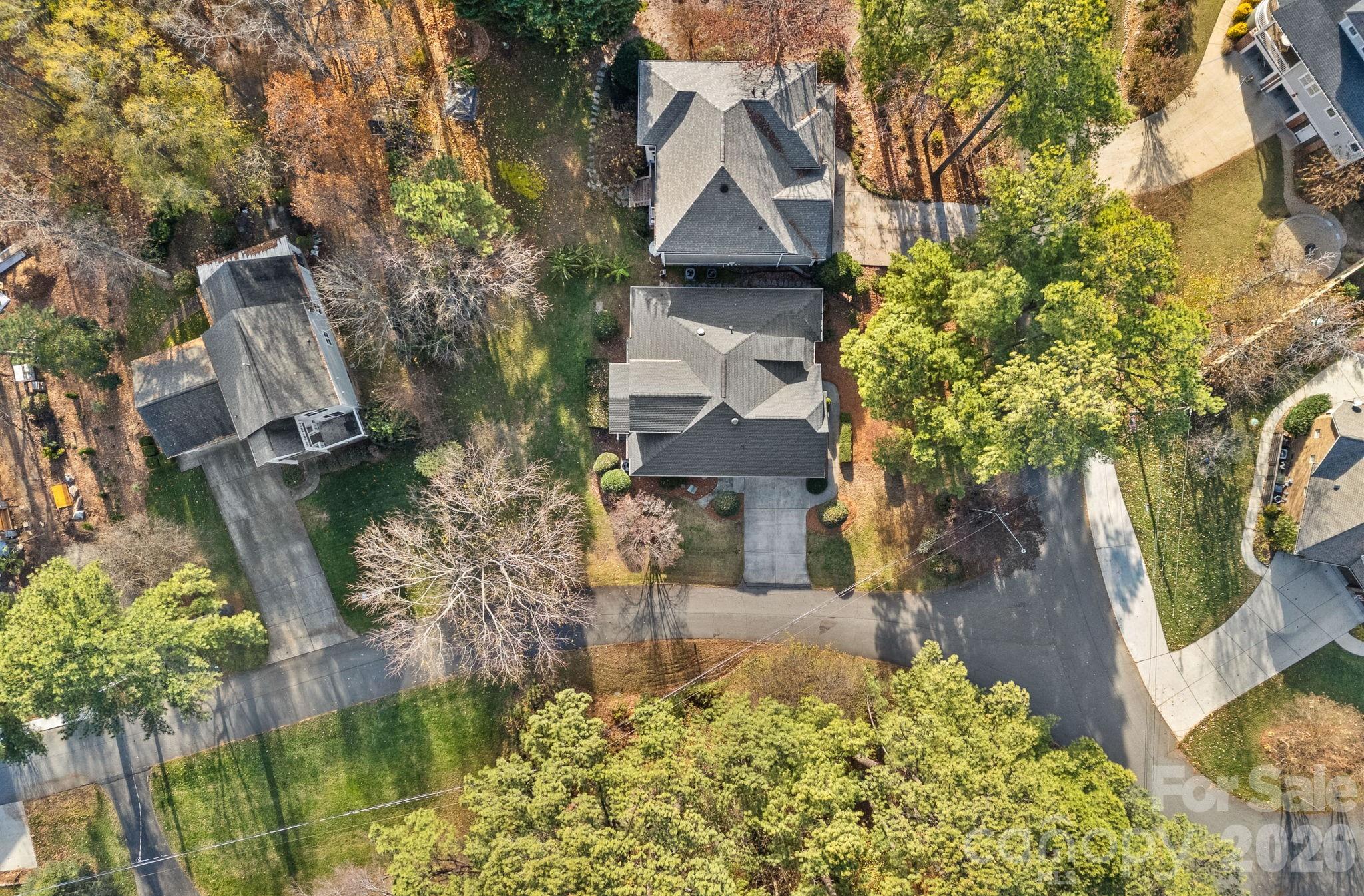 Island Forest - Residential