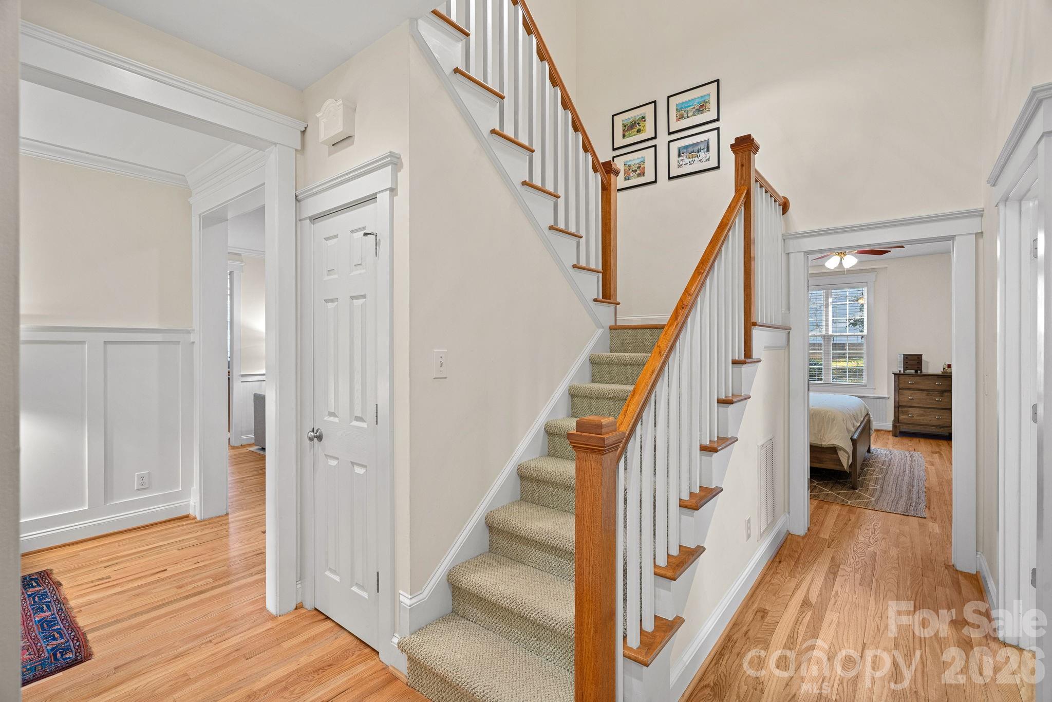 Island Forest - Residential