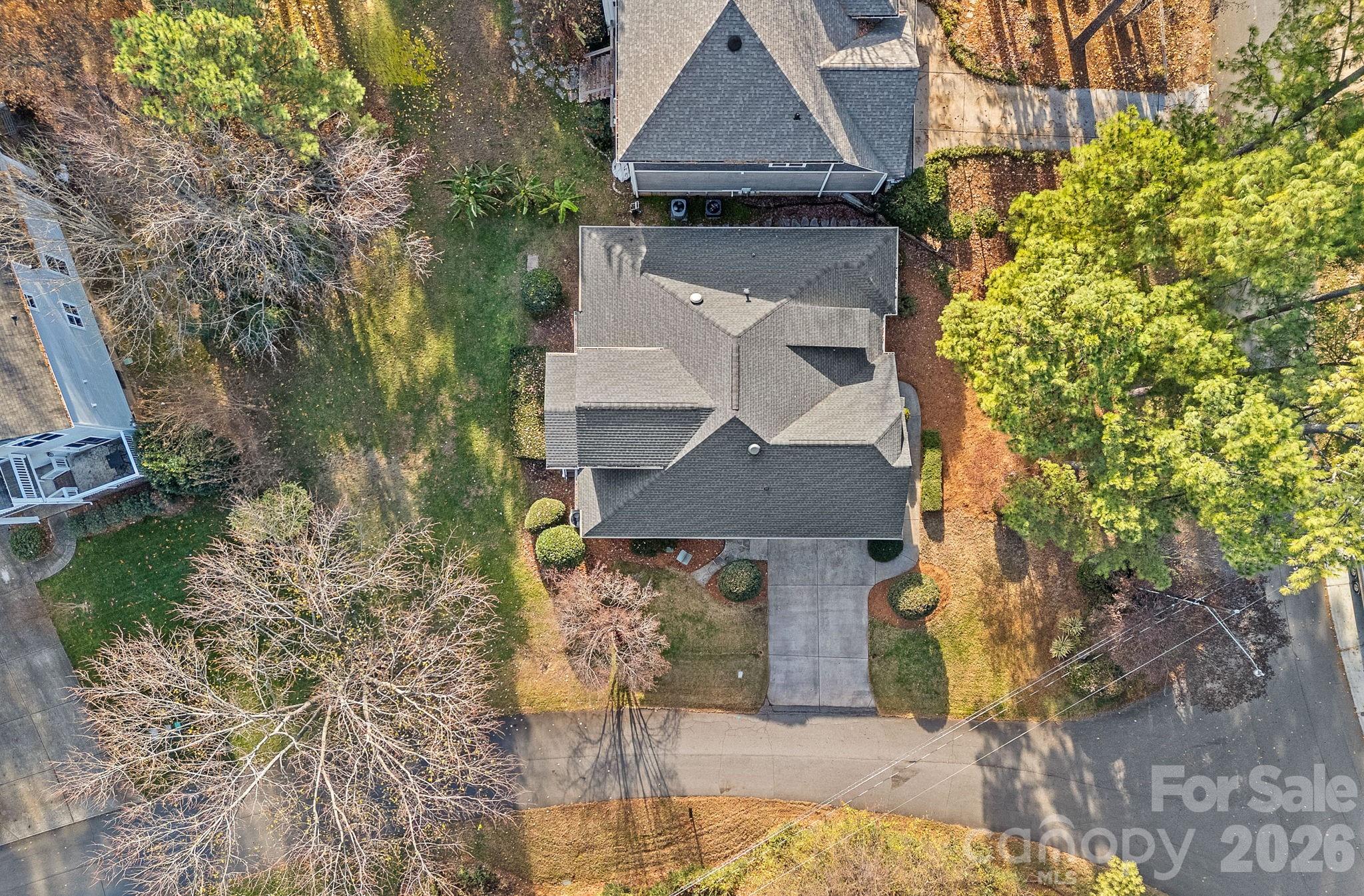 Island Forest - Residential