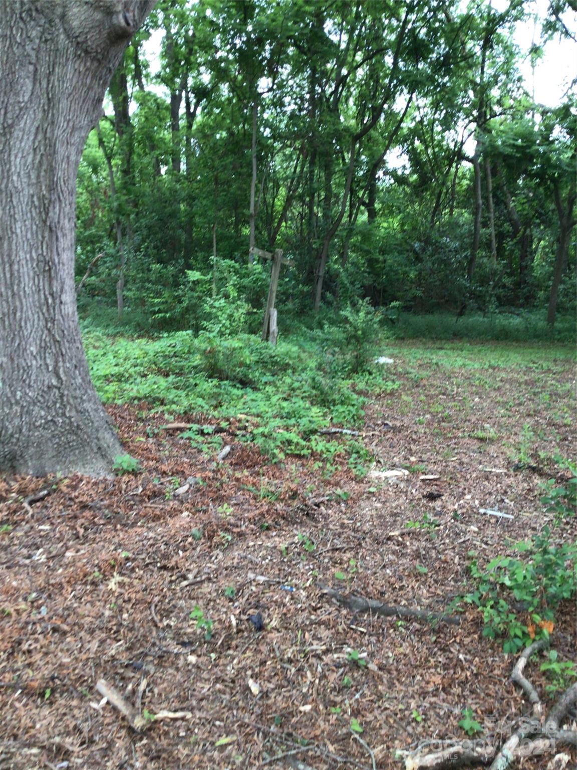 Sunset Park - Residential