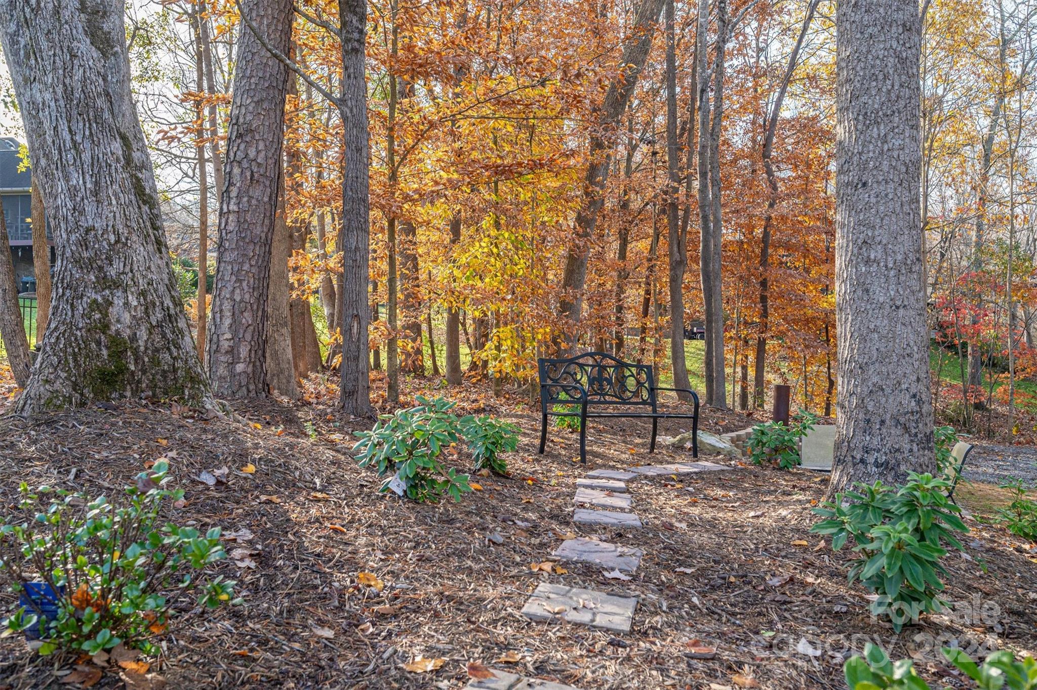 Lauren Woods - Residential