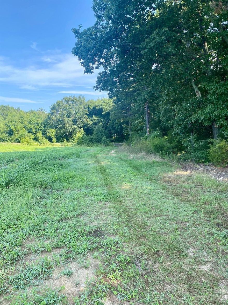 Beautiful 9.29 acre property located in Cherryville, NC. Lots of privacy and could be perfect for someone looking to build a home! Has beautiful views and no HOA or city taxes. A perc test has been performed.