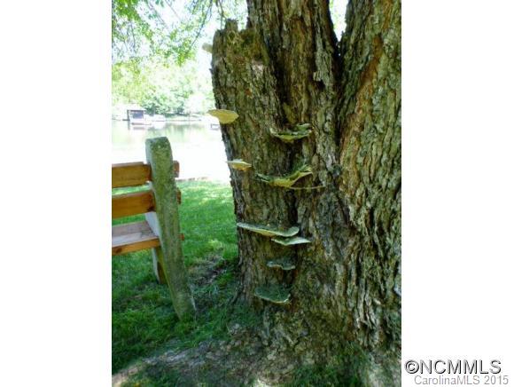 Camp Skyuka - Residential