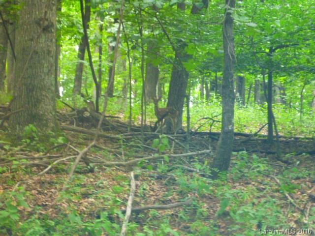 Camp Skyuka - Residential