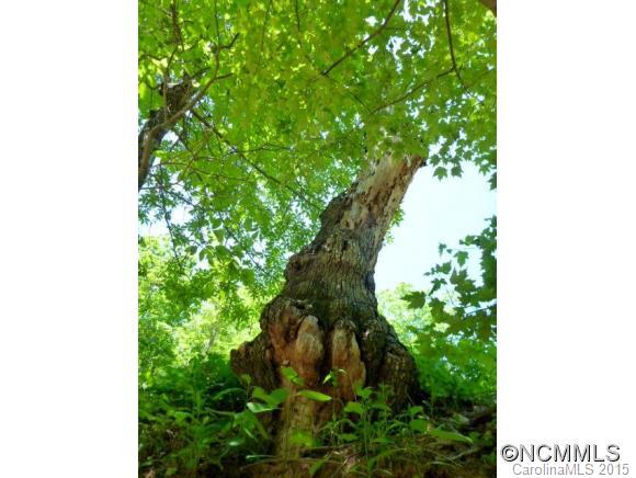 Camp Skyuka - Residential