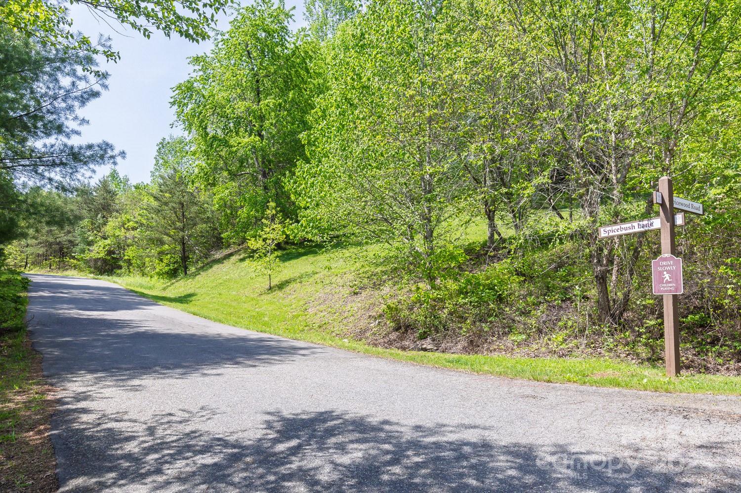 11 Spicebush Lane