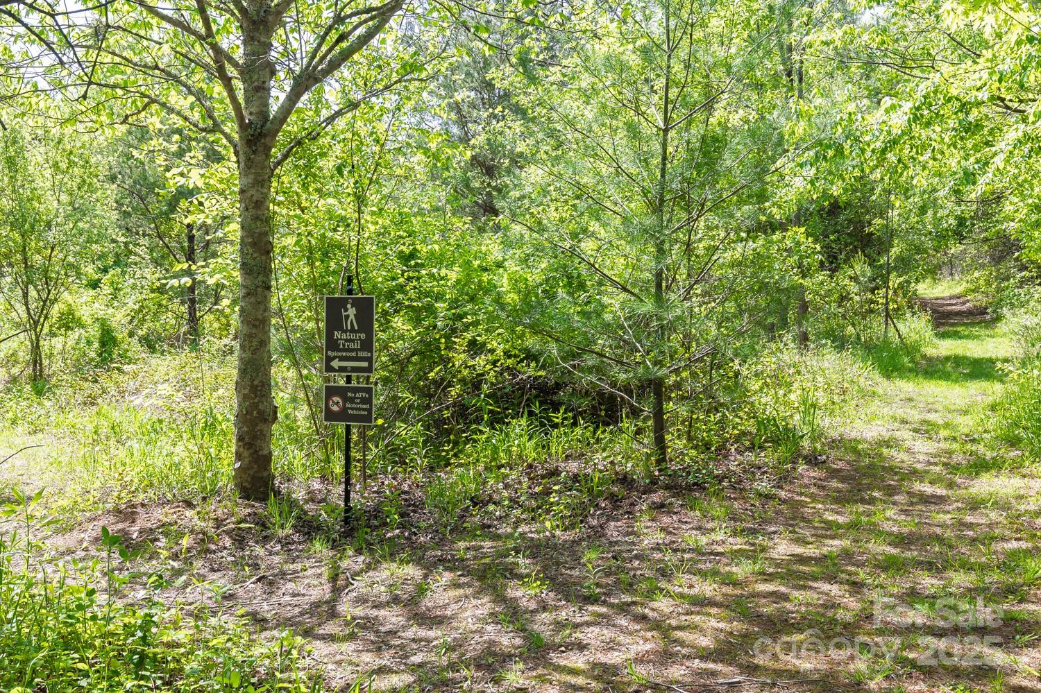 11 Spicebush Lane