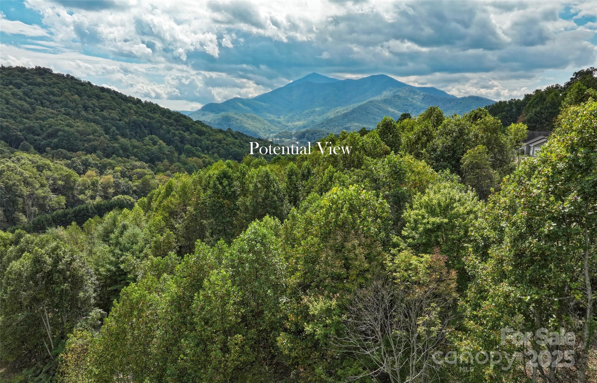 0 Majestic Mountain Drive 11