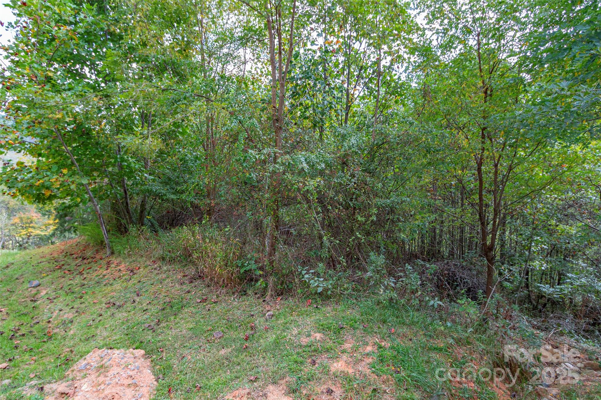 0 Majestic Mountain Drive 11