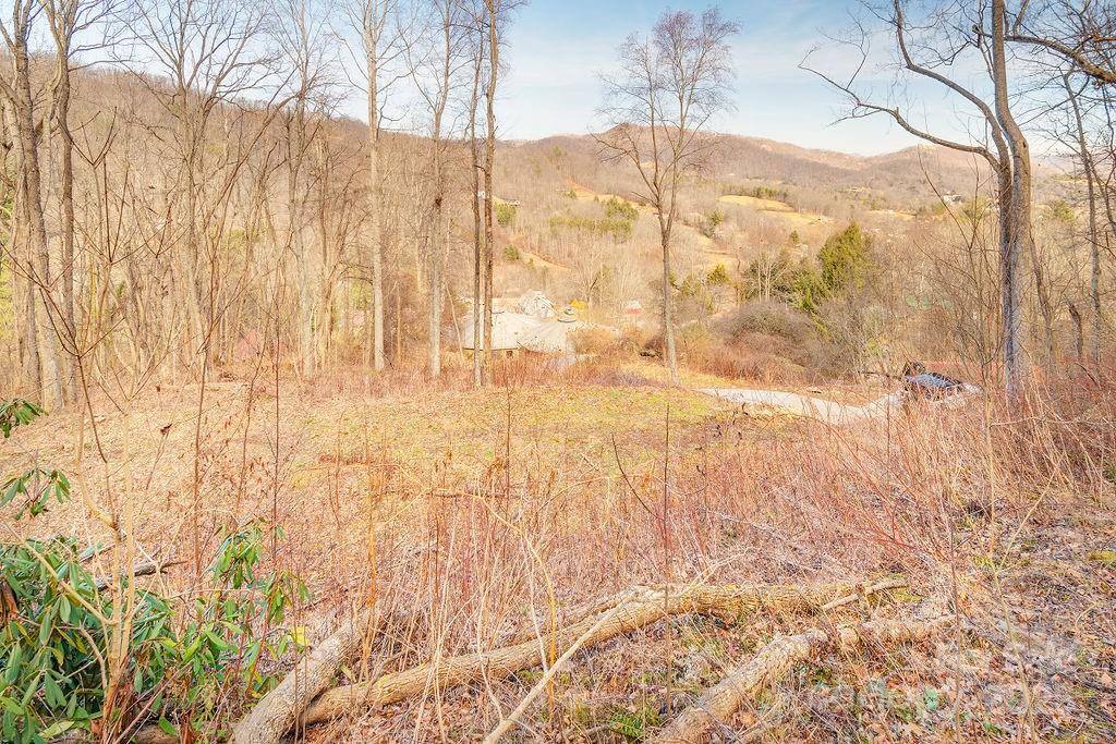 Patchens Mountainside Forest - Land