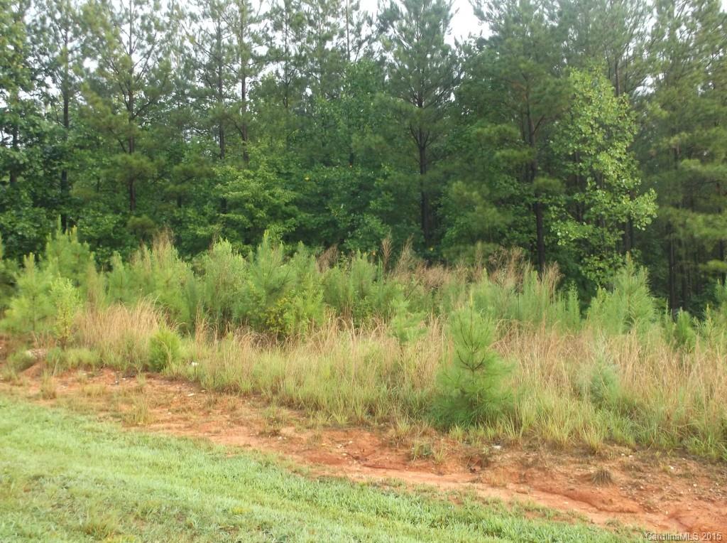 Catawba Shores Estates - Land