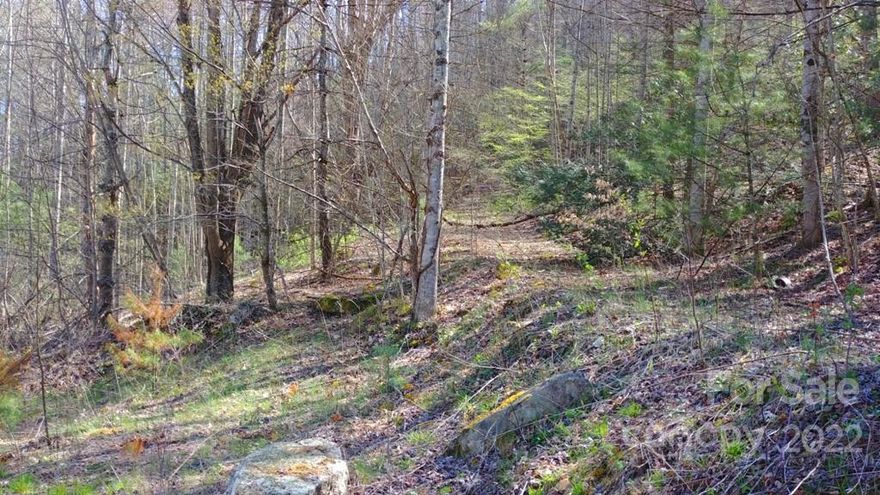 16+ Acres - private - no HOA - County maintained road - your slice of the mountain for building the home of your dreams, or just camping, if you want! Stop by and check it out.  APPROVED 3-Bed SEPTIC - good through 2027. There is an OLD barn at the edge of the road. It is not in good condition, but might be a good place (beside it) to use the old driveway up onto the property. Place your 'castle' on the upper elevation side (3340 elev.) to have the best, long views. The lower, road-side edge of the property is at 2920 elevation and has 700+ feet of road frontage - lots of choice for where to place your driveway and home. Bring your RV's - no restrictions!