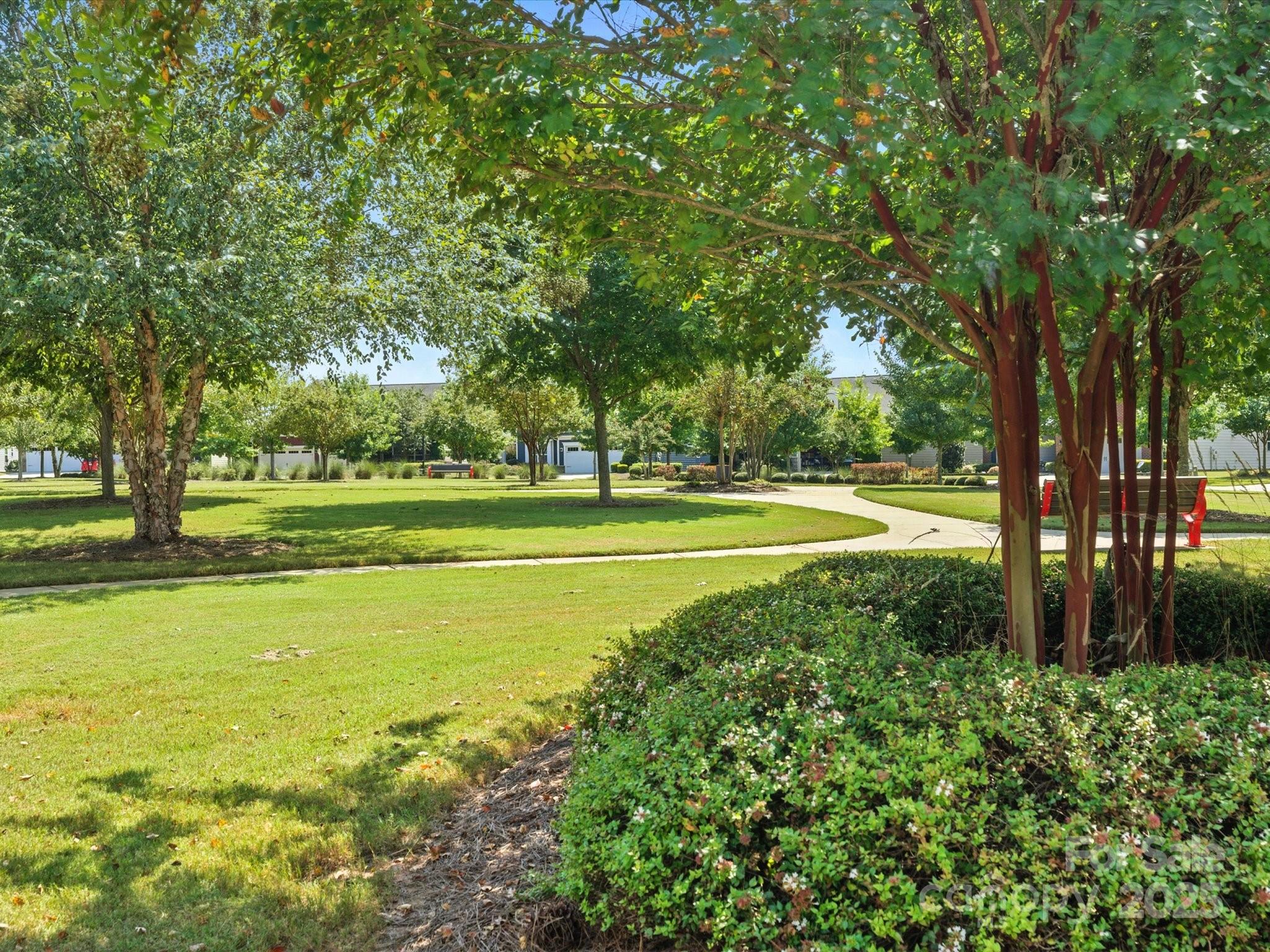 Tree Tops - Residential